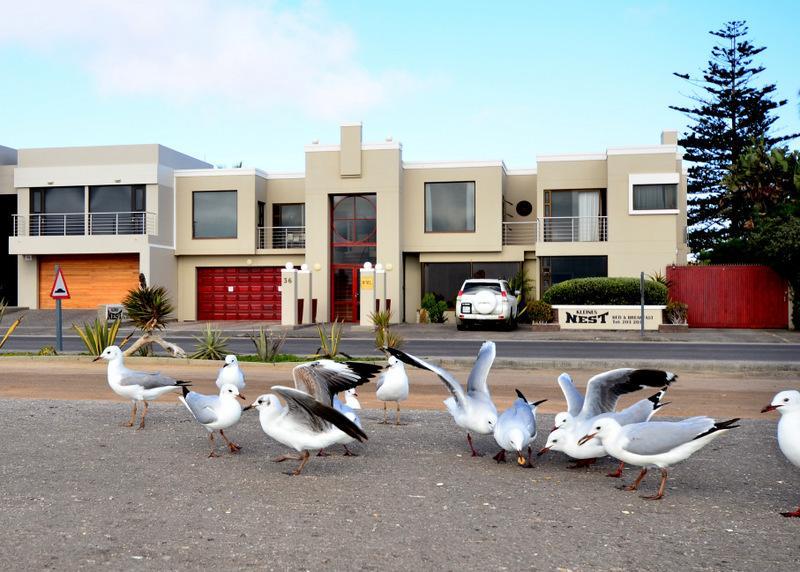 Kleines Nest Bed And Breakfast Walvis Bay Luaran gambar